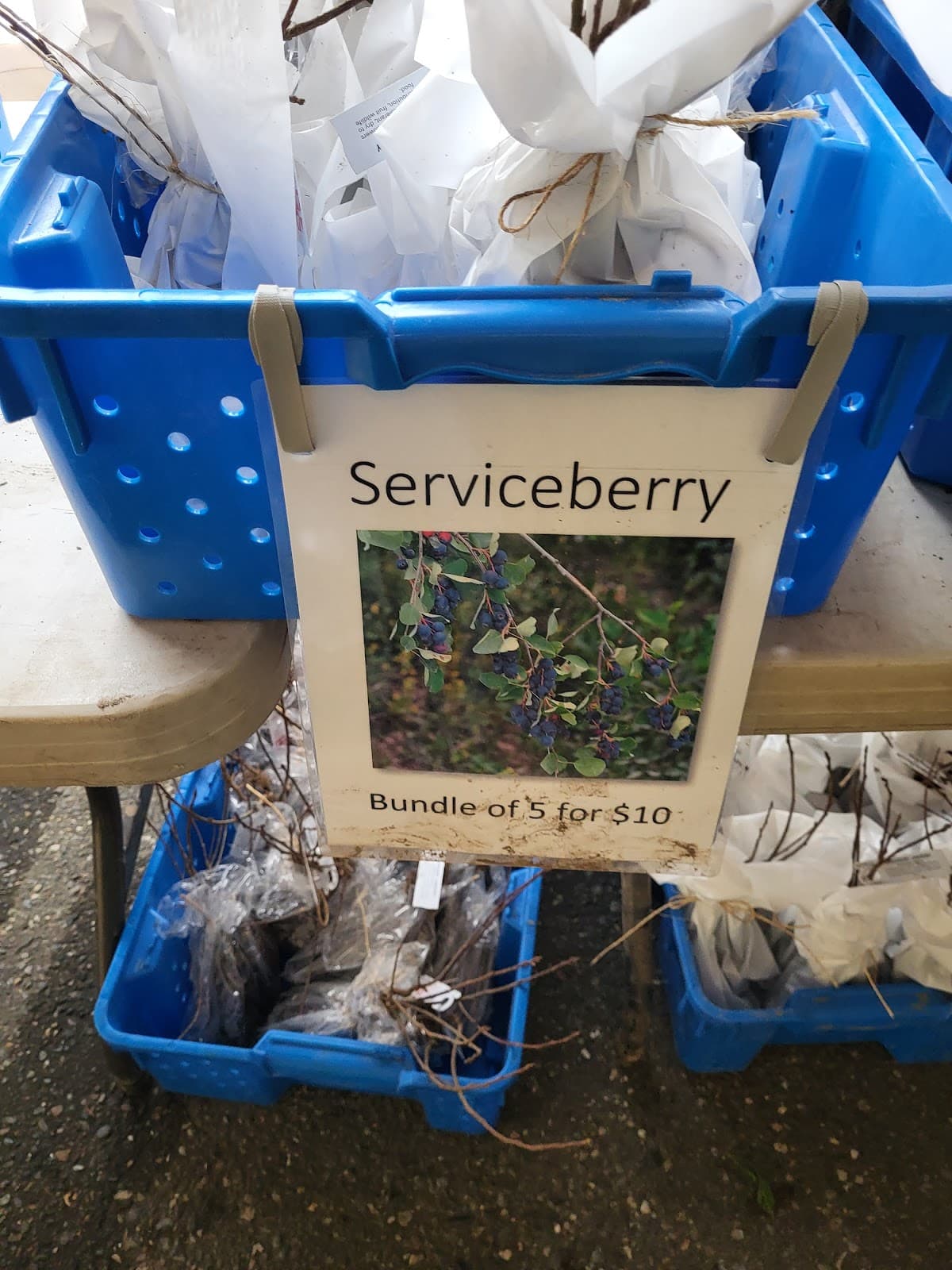 Compost Facility Operator Training (CFOT)