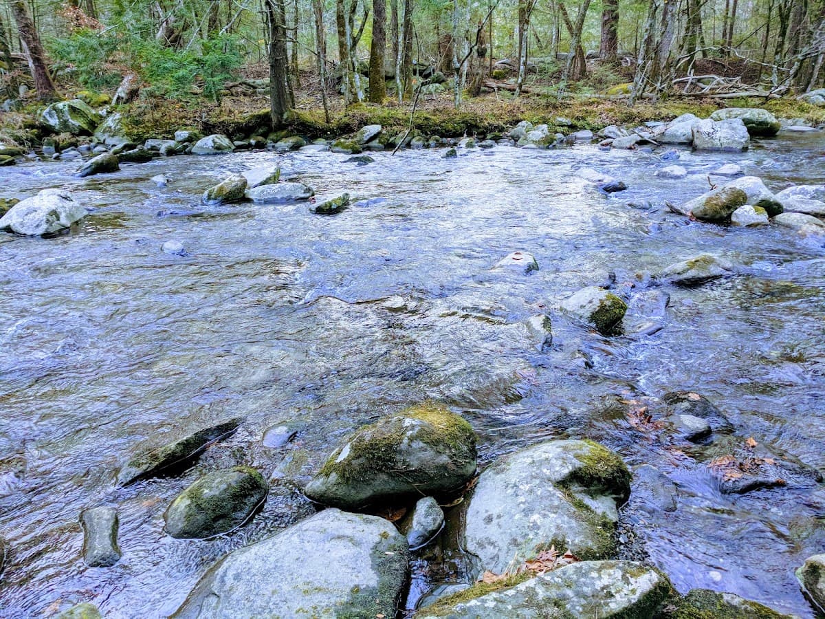 Great Smoky Mountains Institute at Tremont