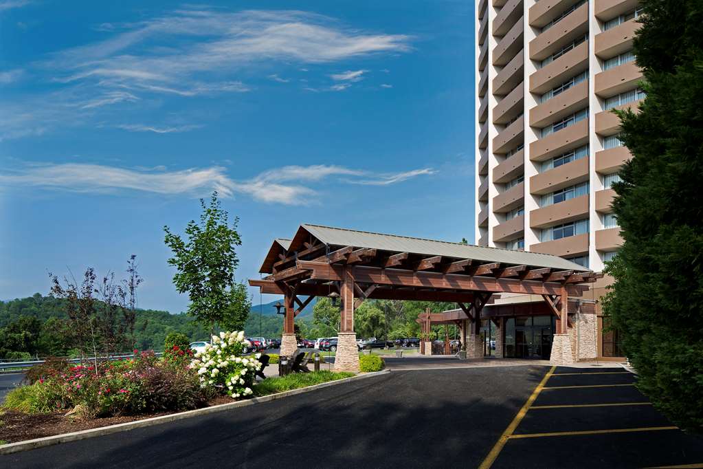 park vista hotel