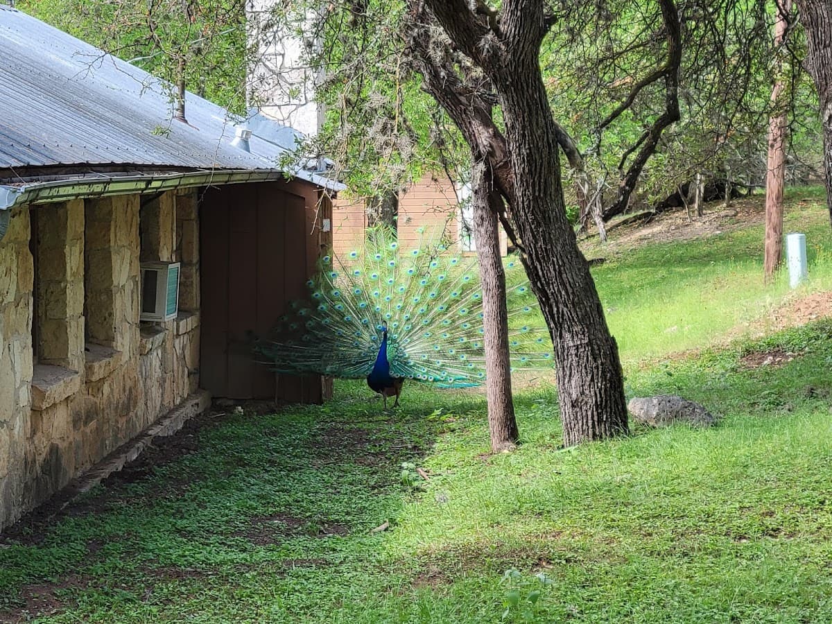 Mayan Dude Ranch