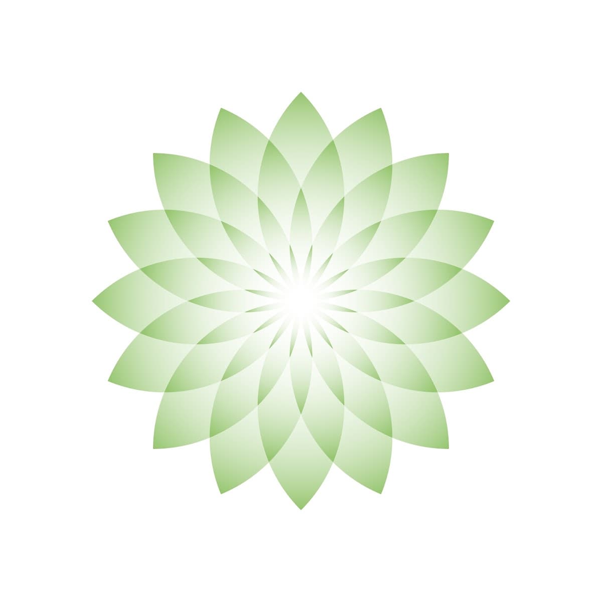 EVANSVILLE HOLISTIC EXPO