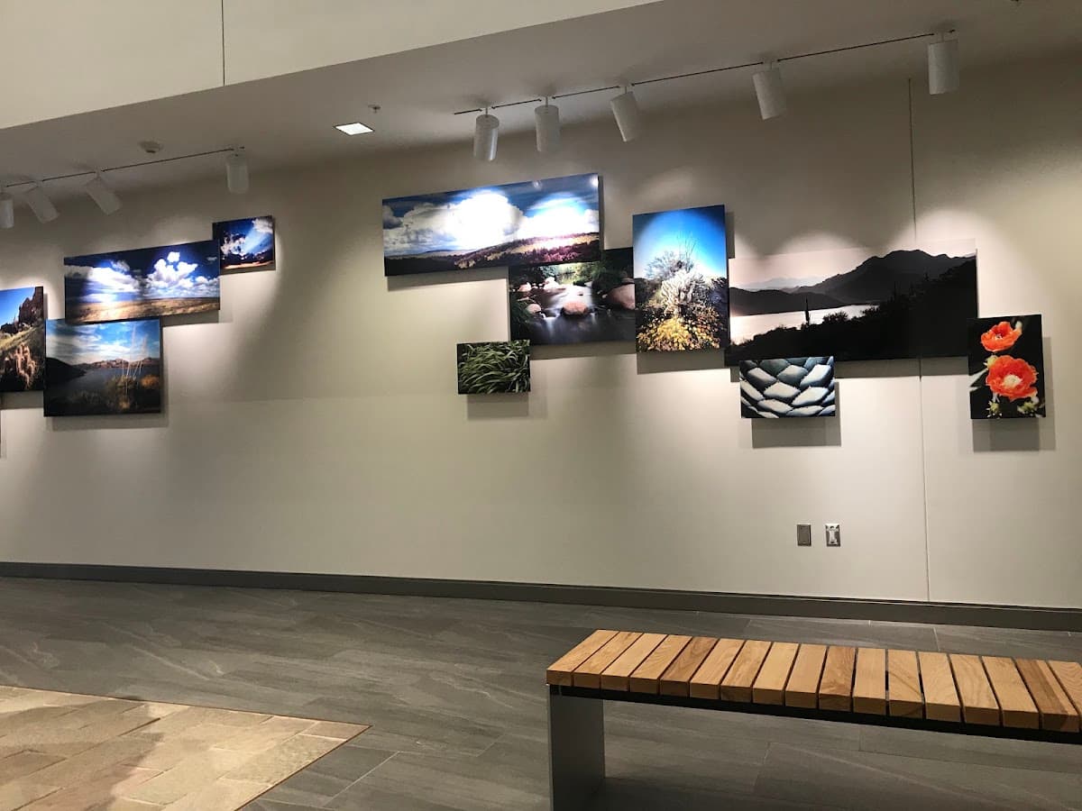 Salt River Project