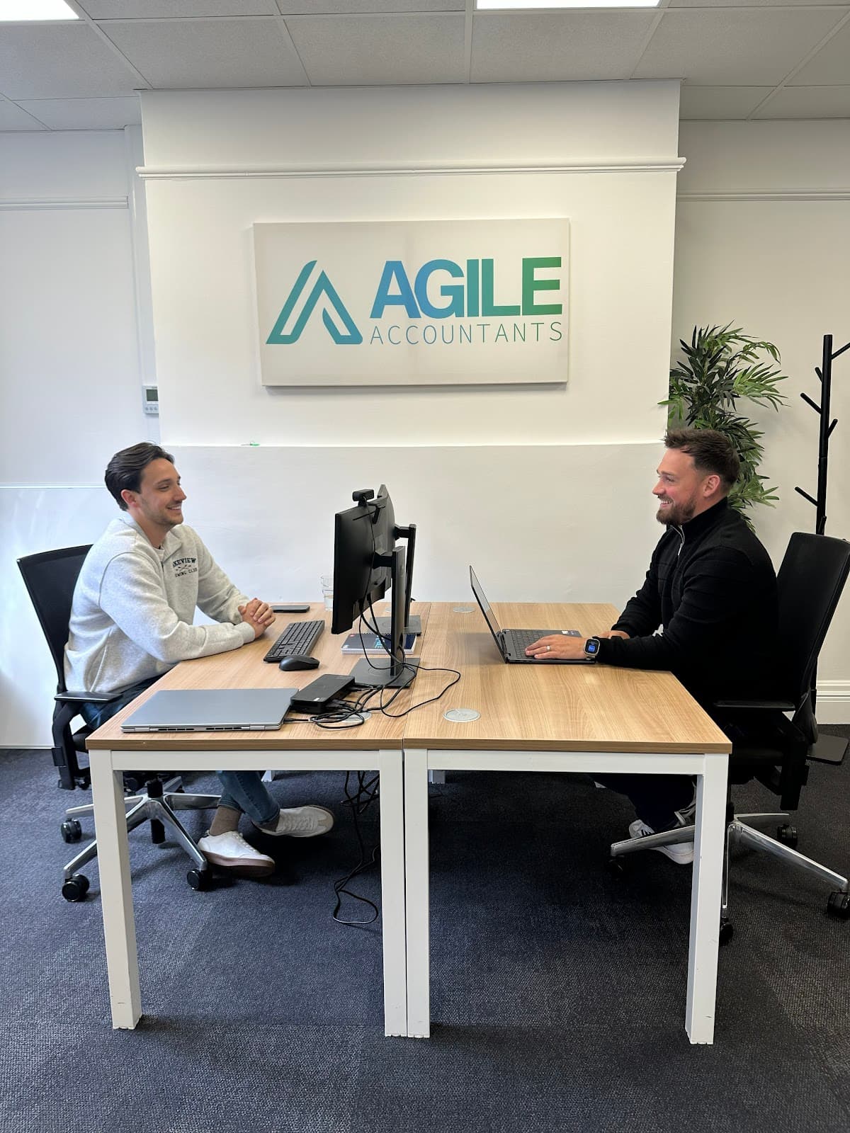 Agile Auditing