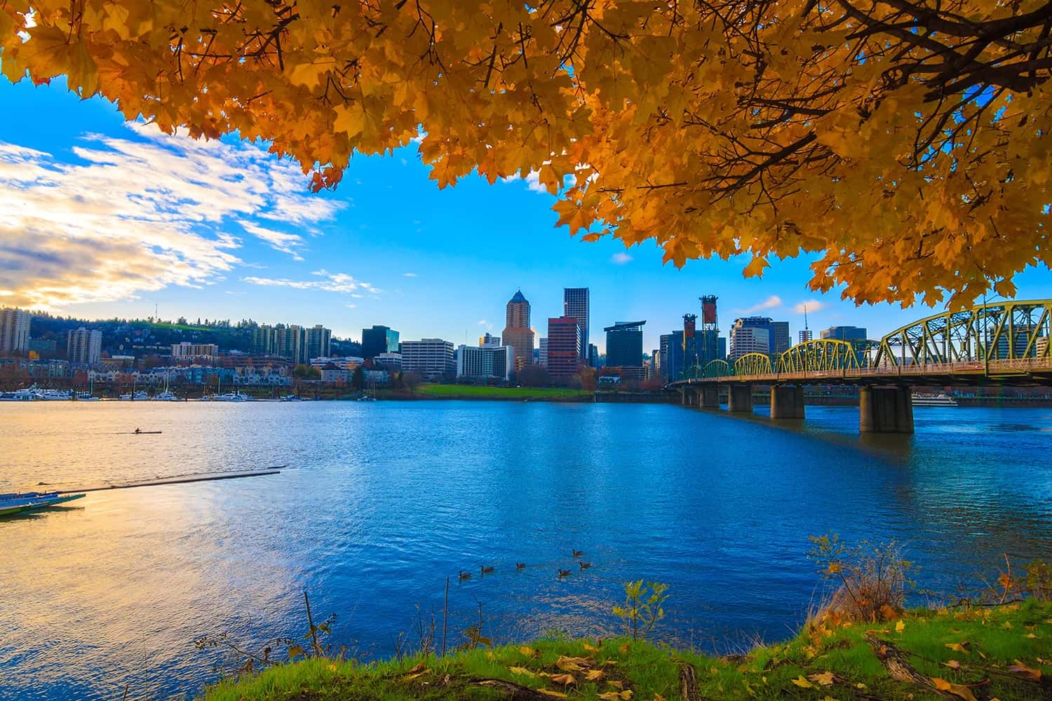OSMO Fall Membership Conference