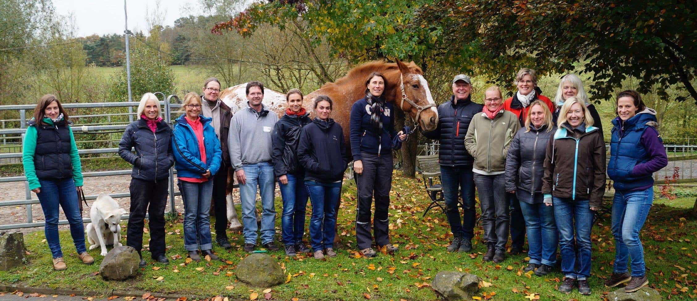 Beyond Horse Massage Weekend Course