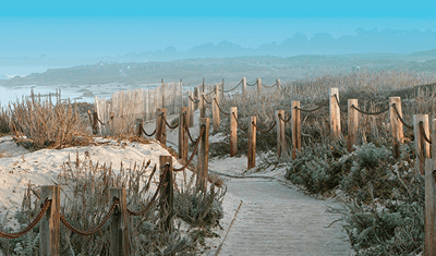 Asilomar Conference