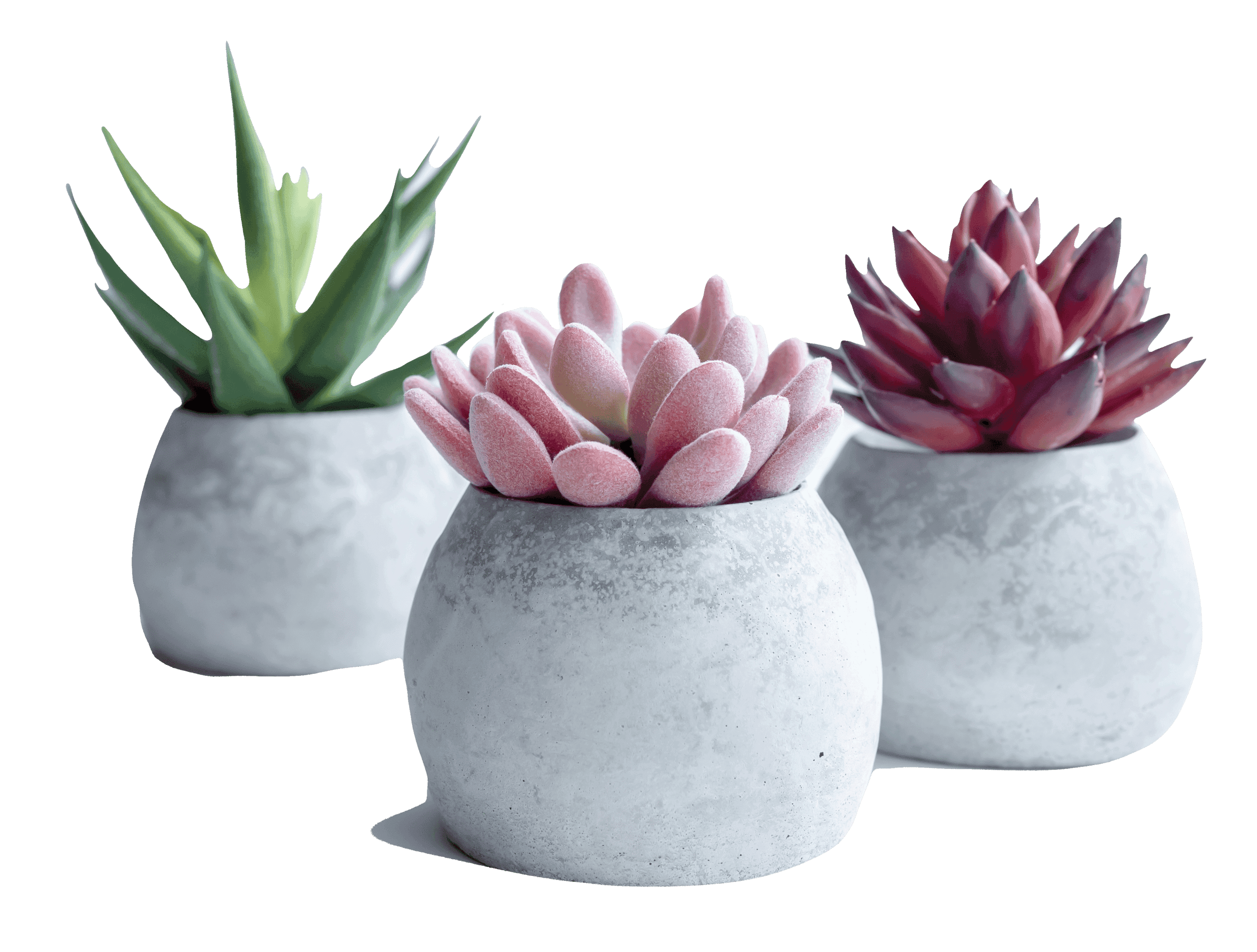 The Inspired Home Show