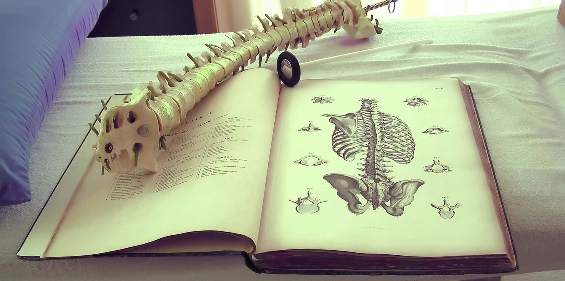 Certification in Spinal Manipulative Therapy (Cert. SMT): Review & Comprehensive Oral, Practical & Written Examination