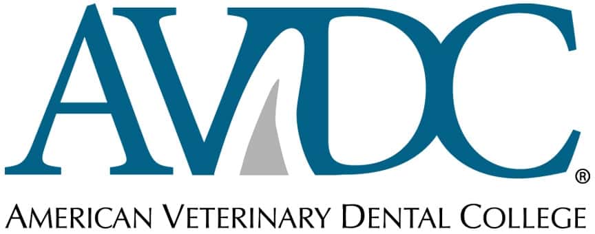 Veterinary Dental Course and Dog & Cat Extraction Wet Lab
