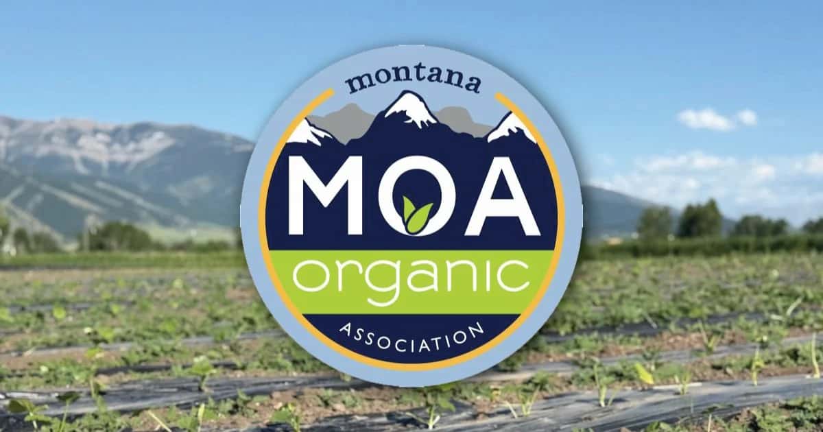 MOA Annual Conference