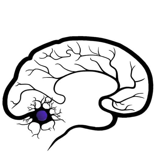 Annual Meeting And Conference of the Florida Society of Neurology