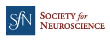 Society for Neuroscience - SfN