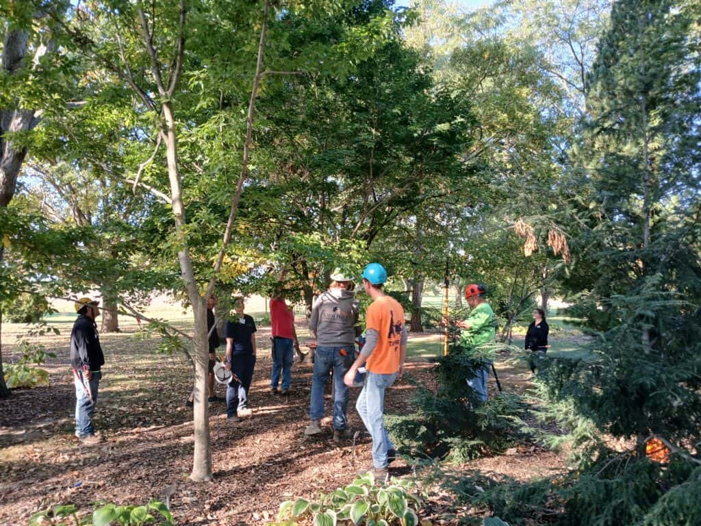 Central Region Pruning Workshop