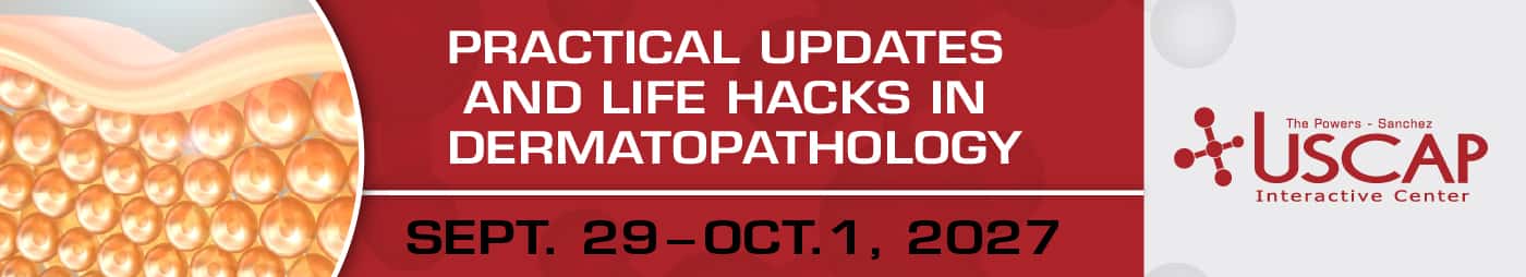 Practical Updates and Life Hacks in Dermatopathology