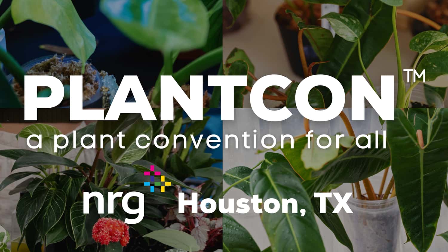 PlantCon International