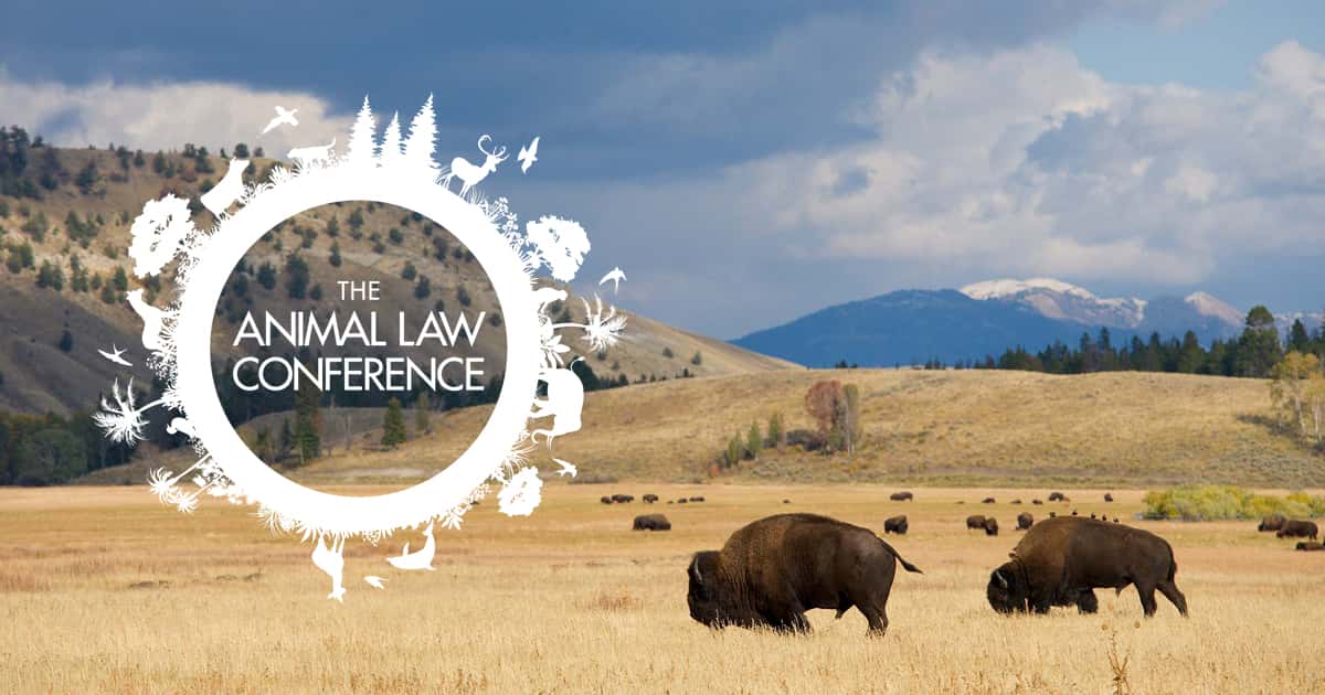 Annual Animal Law Conference