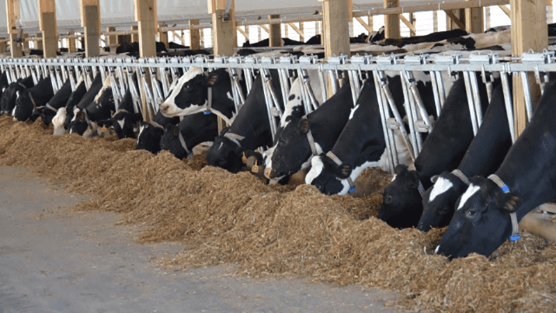 Annual Conference of The Dairy Practices Council