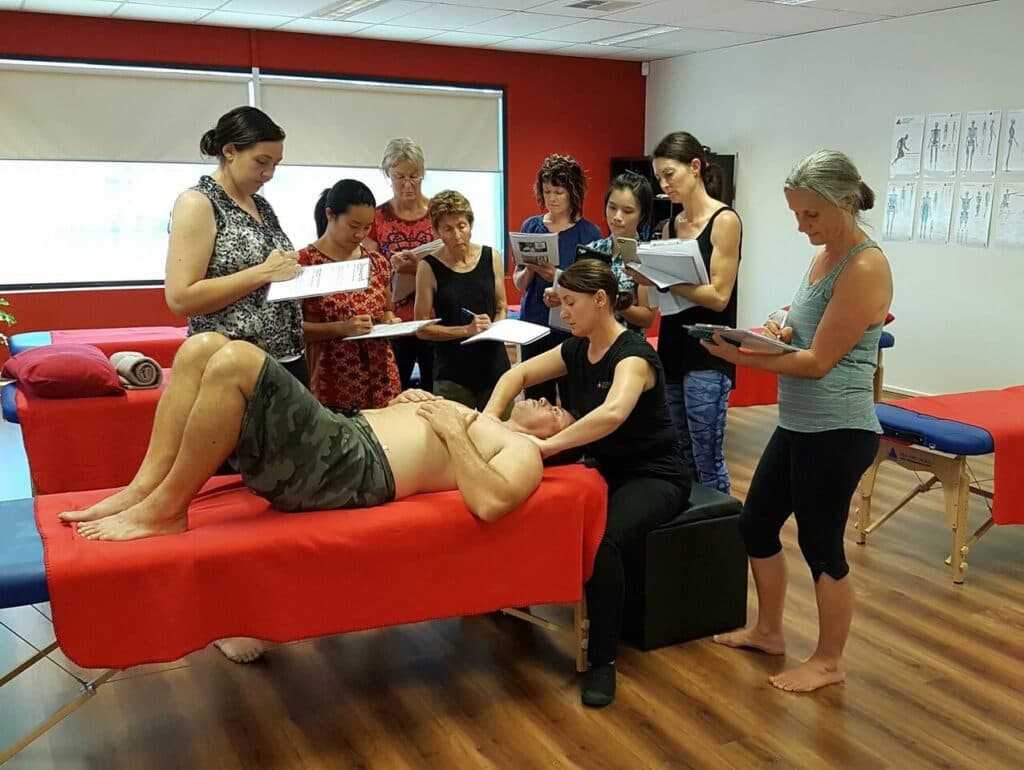 Anatomy Trains in Structure and Function