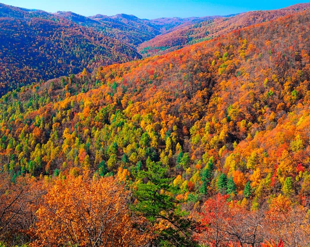 Annual Fall Foliage Cancer Conference