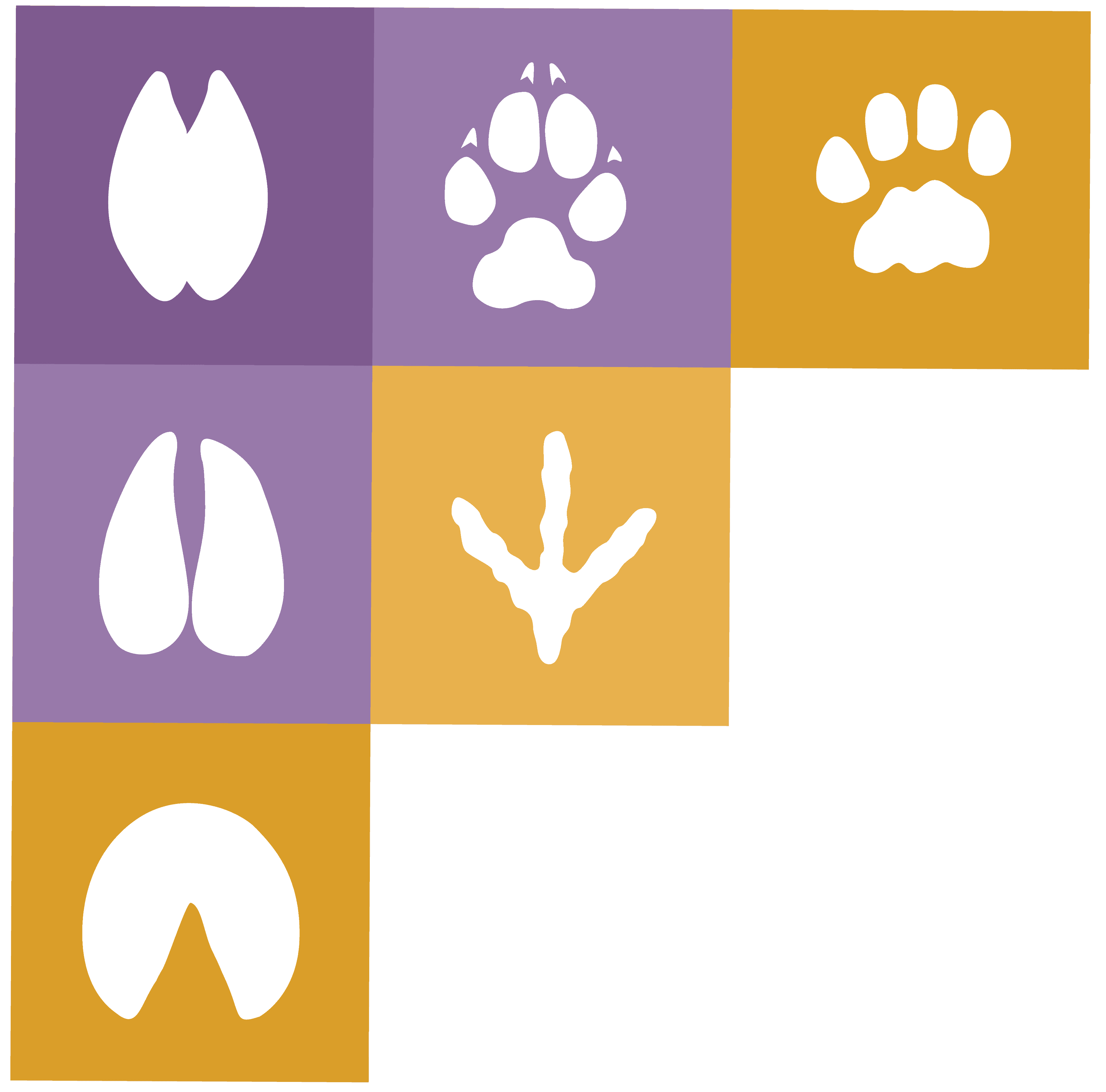 New York State Veterinary Conference (NYS-VC)