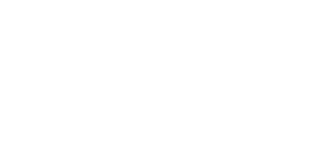 TLMI Committee Summit