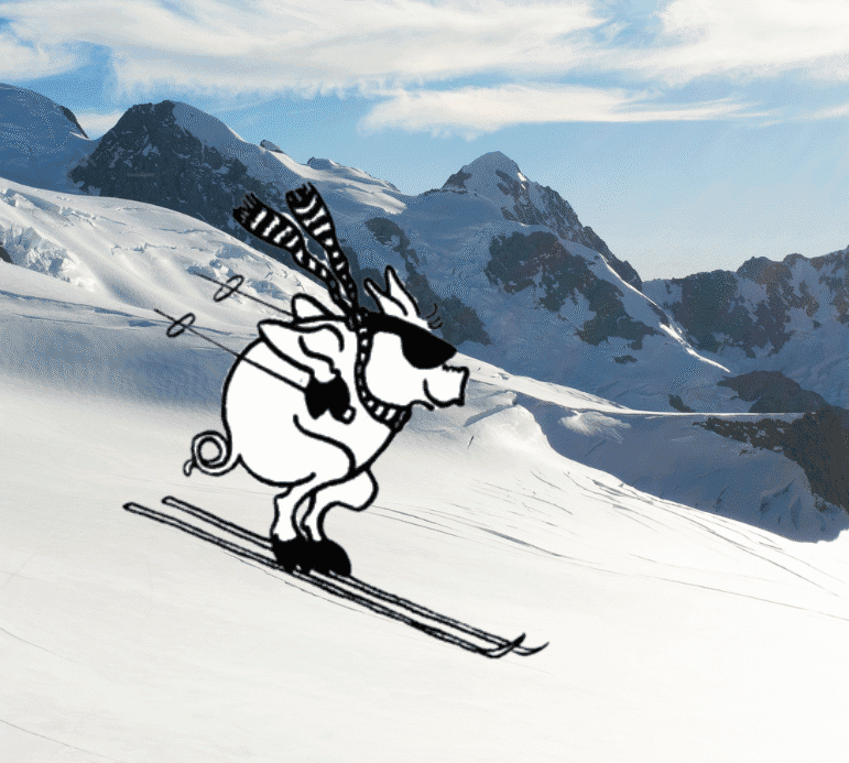 Pig Ski Conference