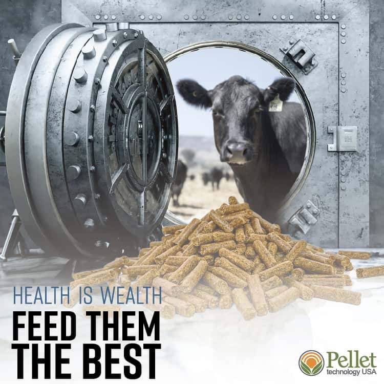 Nebraska Cattlemen Annual Midyear Meeting And Conference