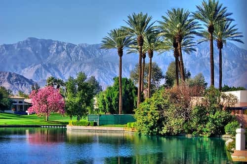 International Workshop on Waldenstrom's Macroglobulinemia