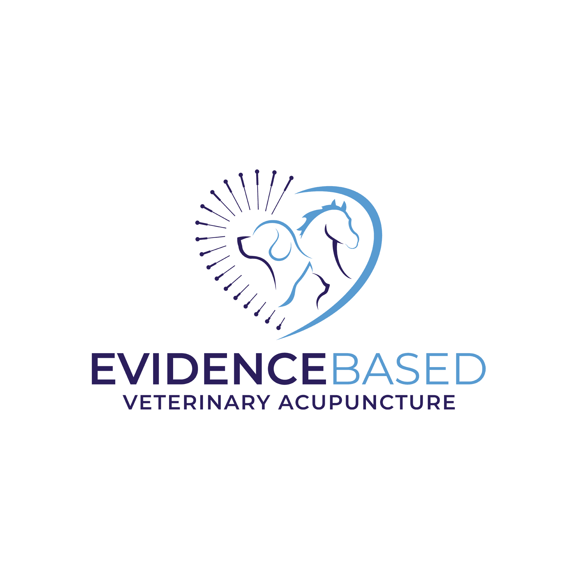 Evidence Based Veterinary Acupuncture Workshop