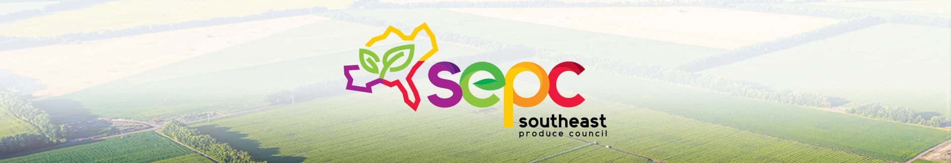 Southern Exposure
