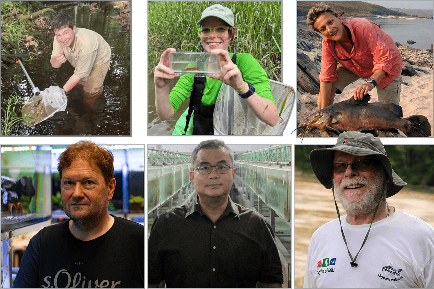 All-Aquarium Catfish Convention