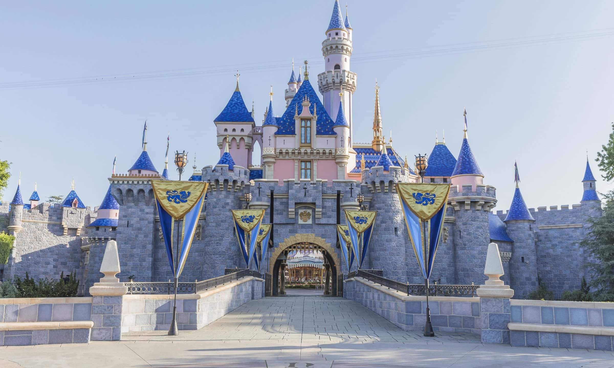Diagnostic Imaging Update at Disneyland