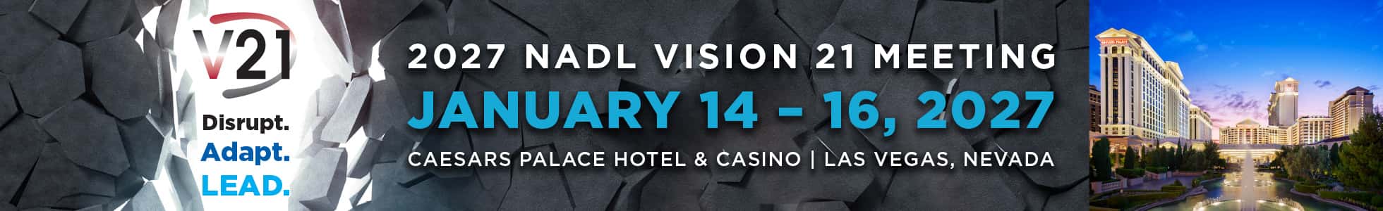 NADL Vision 21 meeting