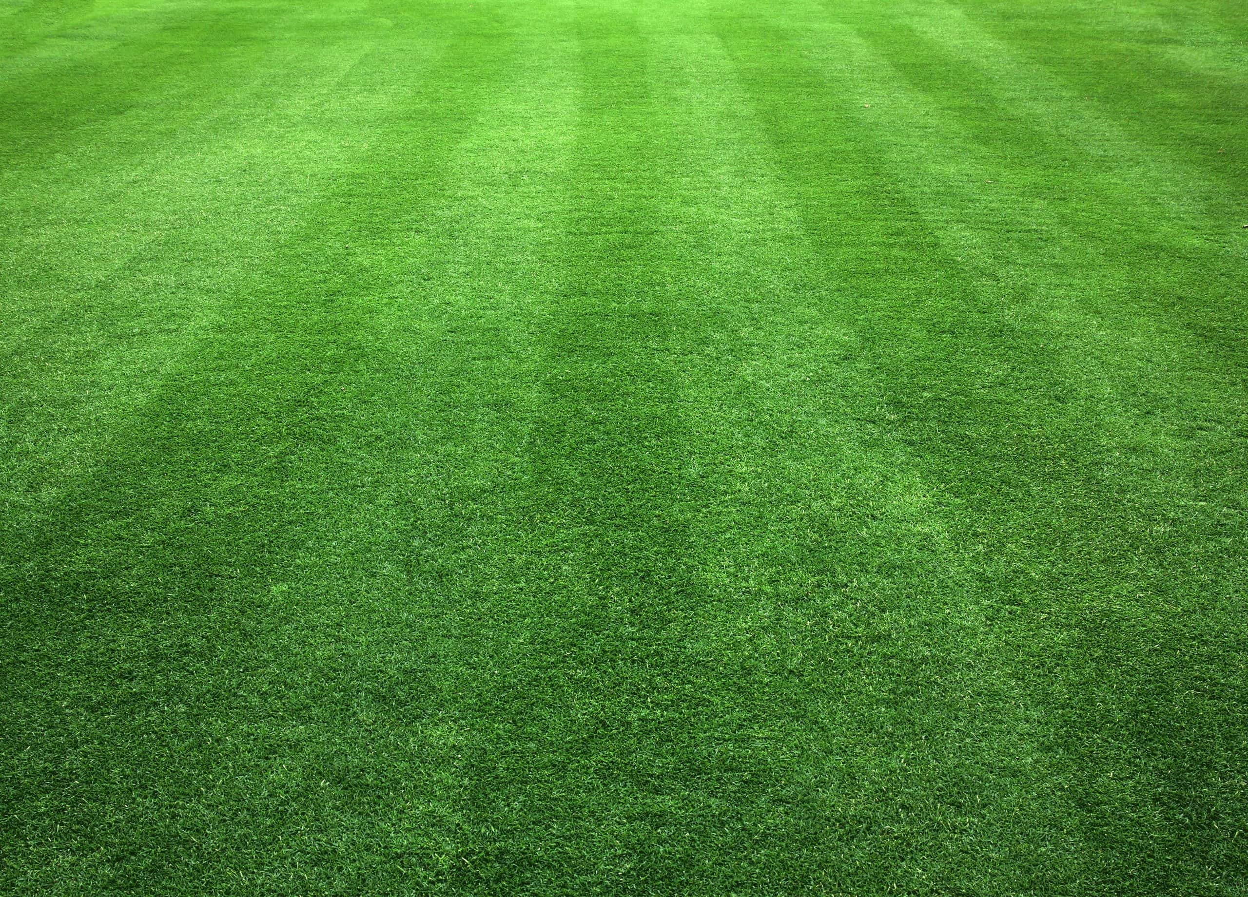 Nebraska Turf Conference