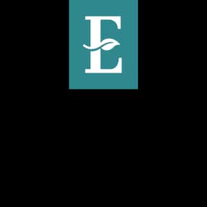 The Biz Explosion Conference
