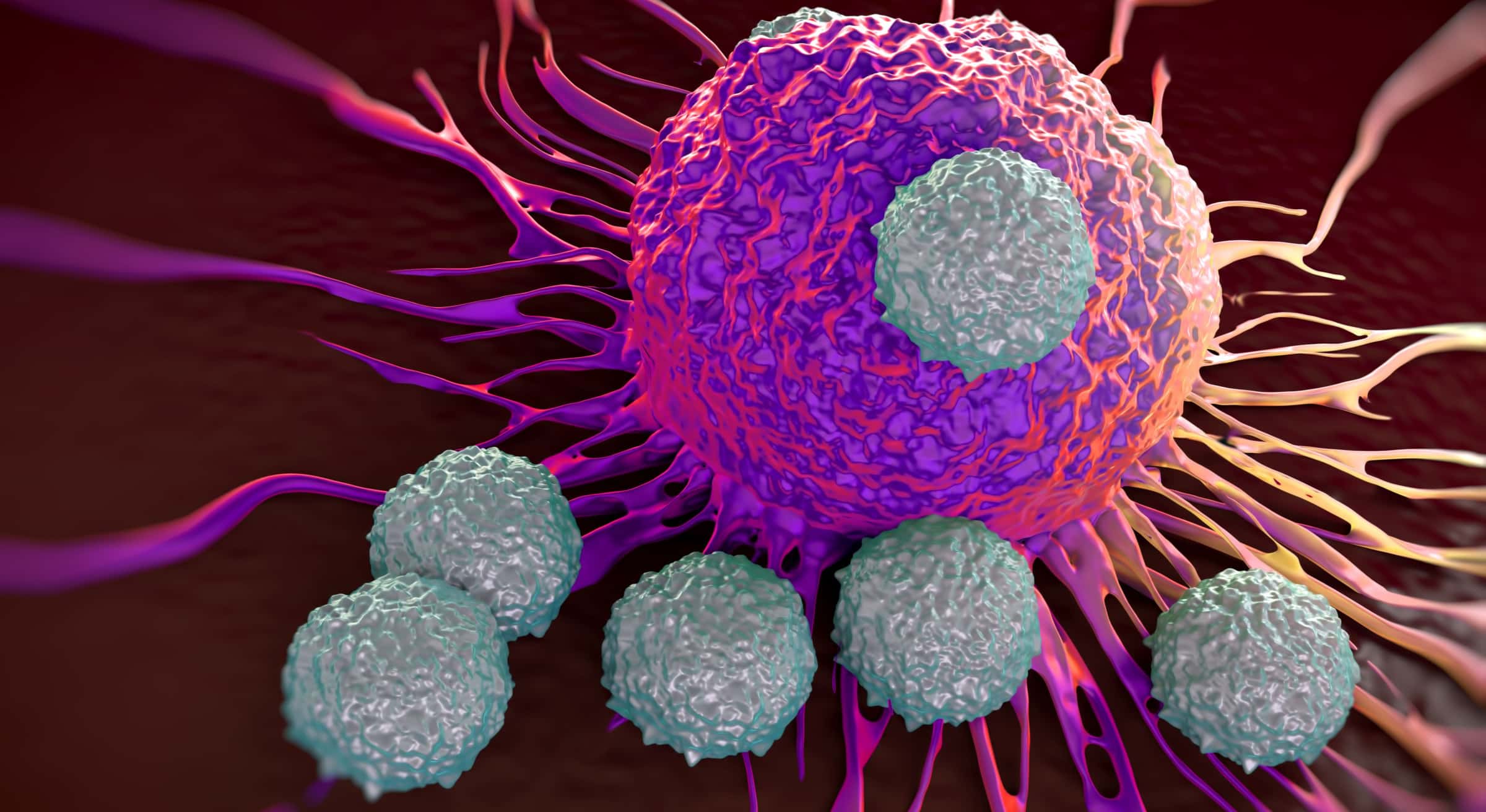 Frontiers in Cancer Immunotherapy