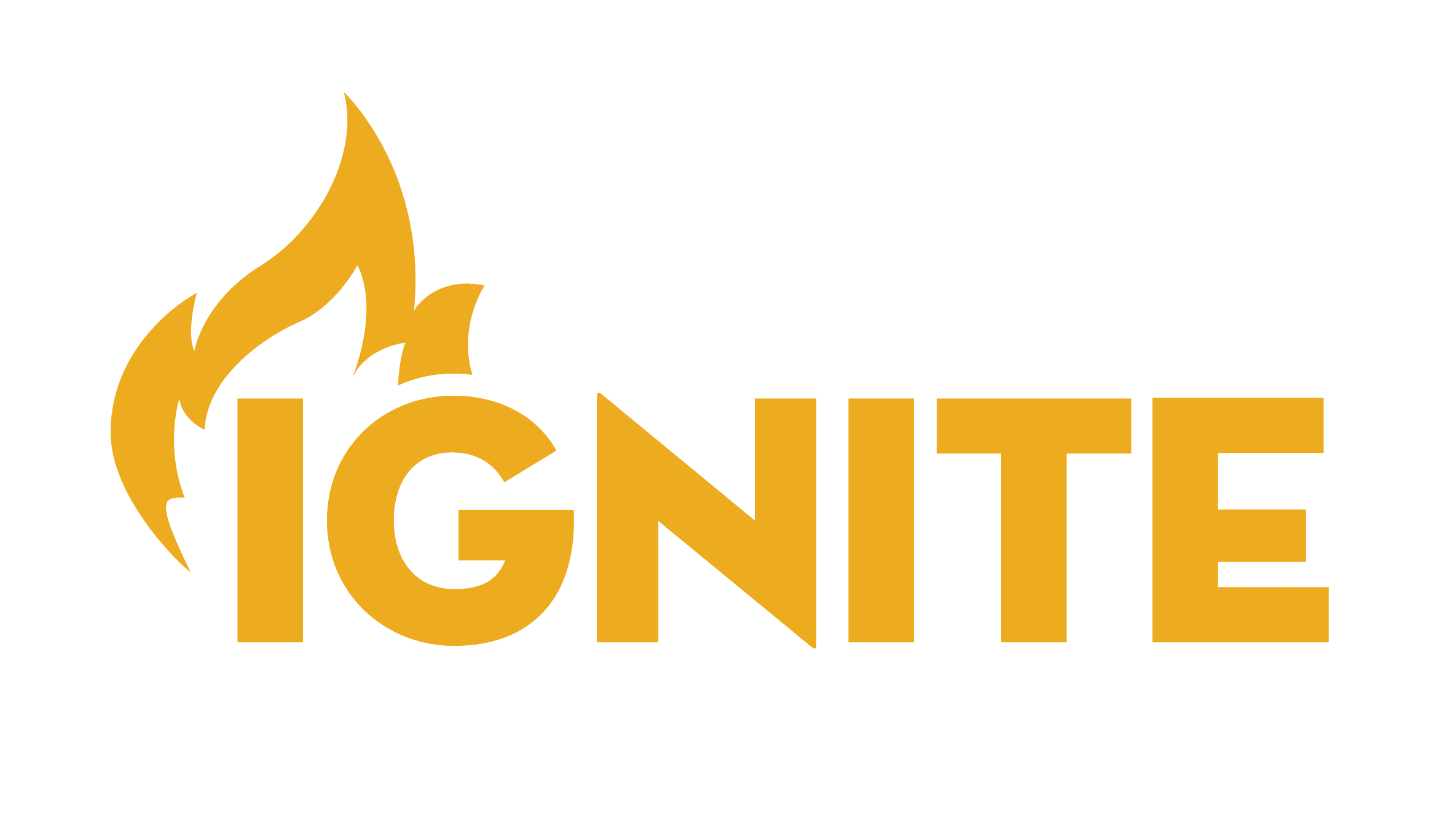 Ignite Men' s Conference
