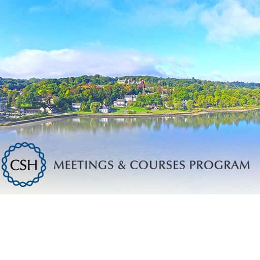 Transposable Elements Meeting