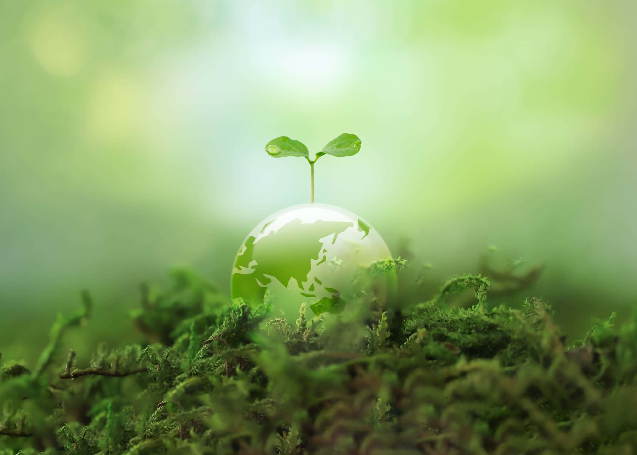 EHS & Sustainability Management Forum