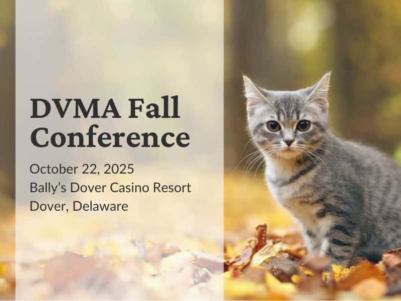 DEVMA Fall Conference
