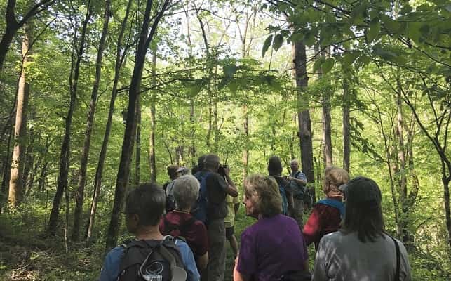 Wilderness Wildlife Week