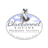 Bluebonnet Horse Expo