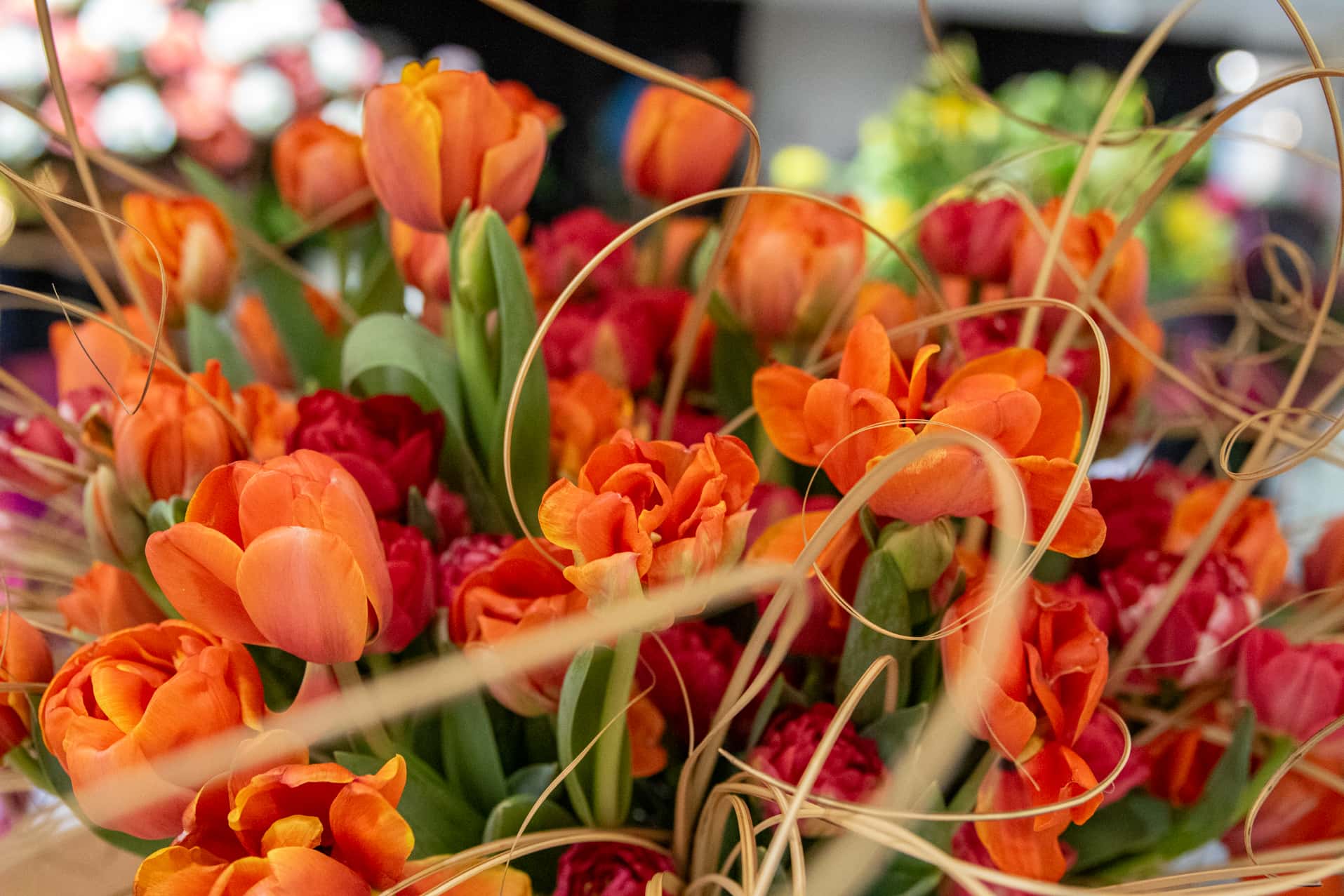 Capital Region Flower & Garden Expo