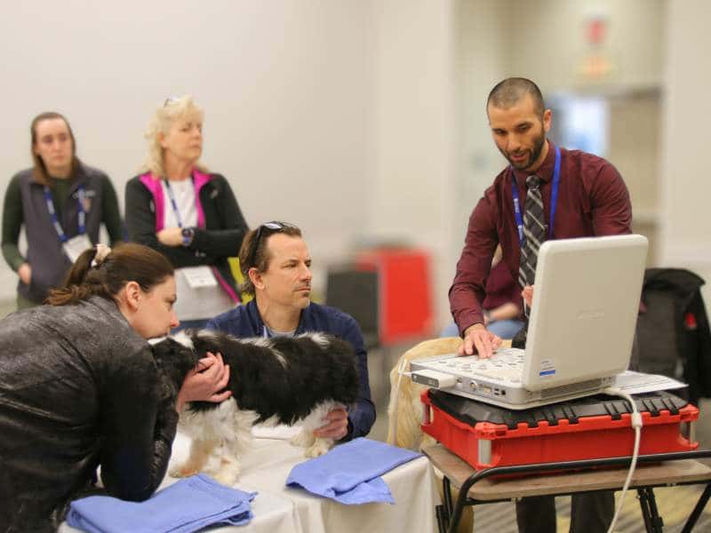 Midwest Veterinary Conference
