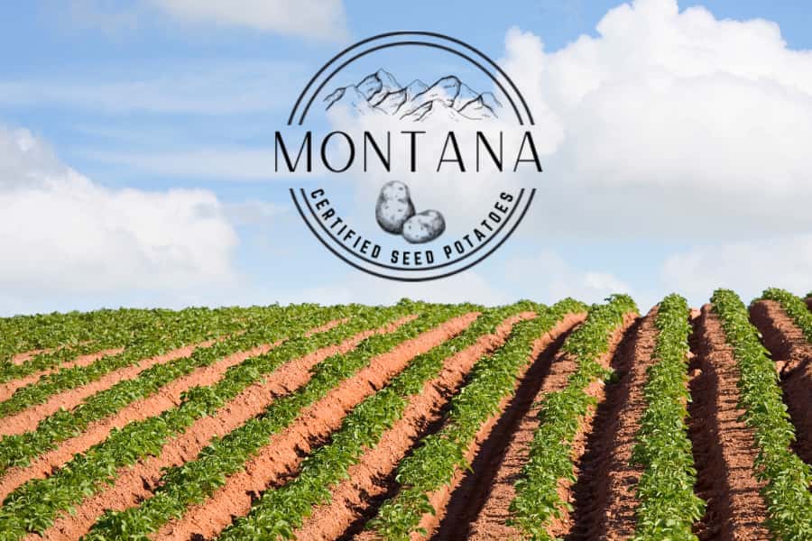 Montana Seed Potato Annual Conference