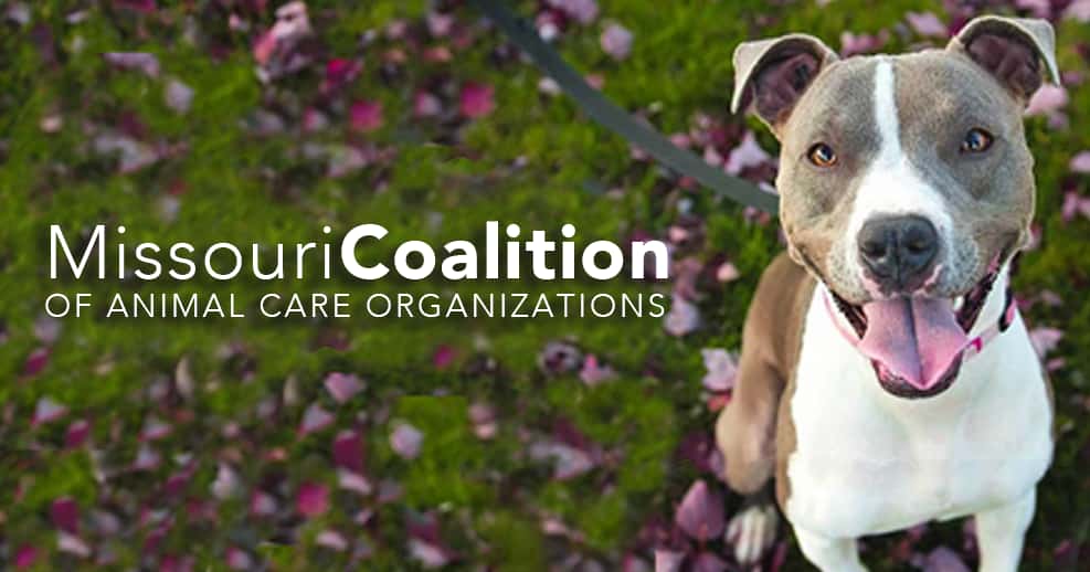 Midwest Animal Welfare Conference