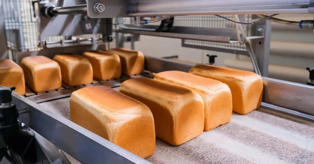 Basics in Breadmaking Examination Pack