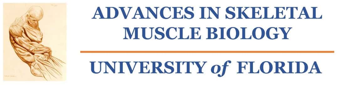 Muscle Biology Conference Advances In Skeletal Muscle Biology In Health And Disease