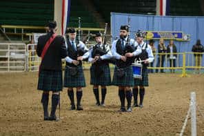 National Western Stock Show: Highland Show