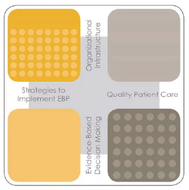 Advanced Evidence-Based Practice Institute